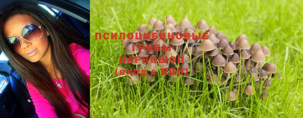 каннабис Белокуриха