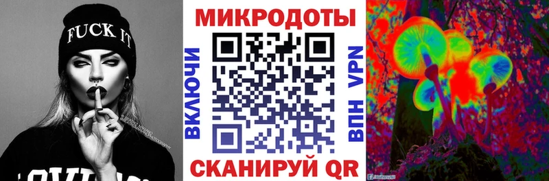 Псилоцибиновые грибы Psilocybe  Плёс 